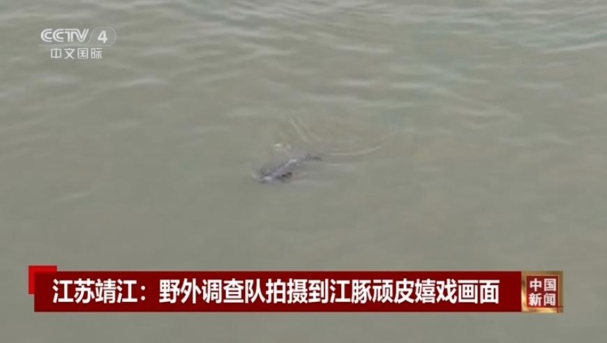 二四六香港好彩免费资料,柯洁被判负,重点解答解释落实_扩展版V5.73