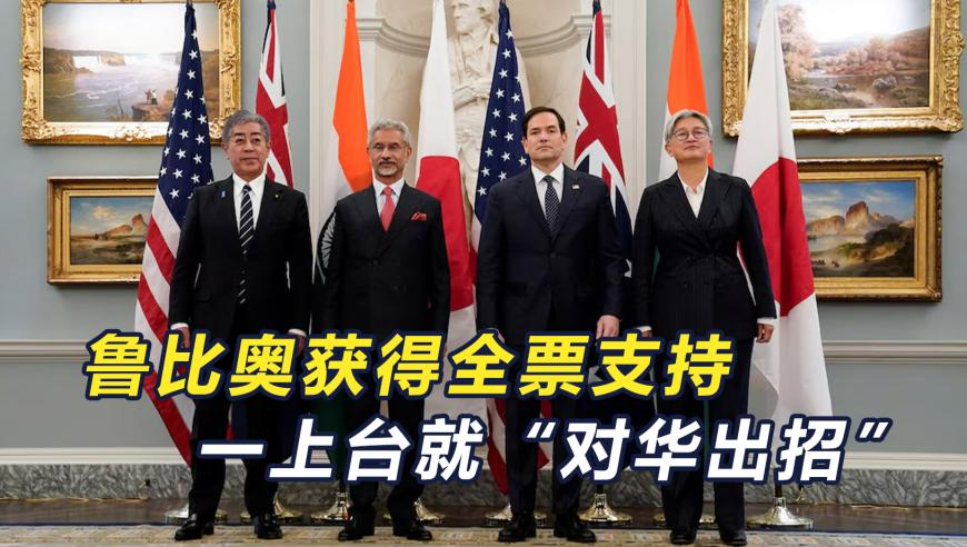 澳门六下彩资料网站网址1,沃尔玛中国欠税1125万被公告,决策资料解释落实_纪念版V11.40