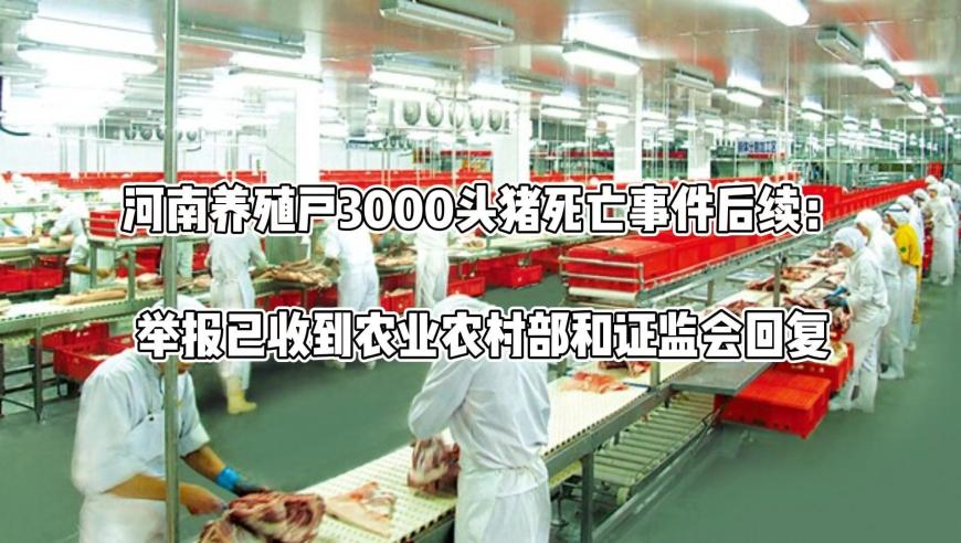 今晚澳门开特马新资料,美滞留太空宇航员称没感到被抛弃,展开解析落实_AR版V15.53