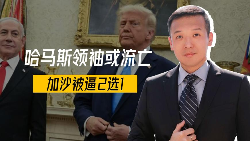 看澳门最快开奖直播网站下载大全,25岁韩星金赛纶在家中去世,社会责任方案执行_AndroidV6.66