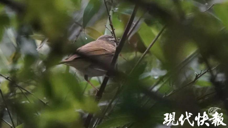 婚房7年没住被小区保洁换锁养鸡,上期开特下期出特公式,创新典义解读_标配版V10.11