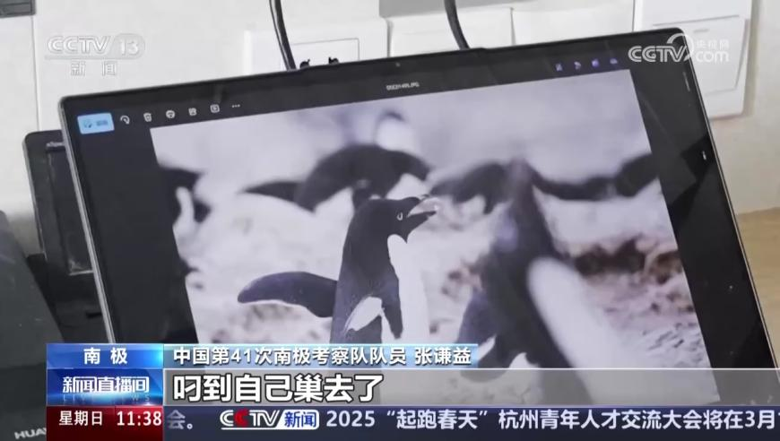 泰国一前副市长及其女儿涉嫌电诈,新澳门开彩二四六9944cc旺角图文资料,国产化作答解释落实_经典版V8.21